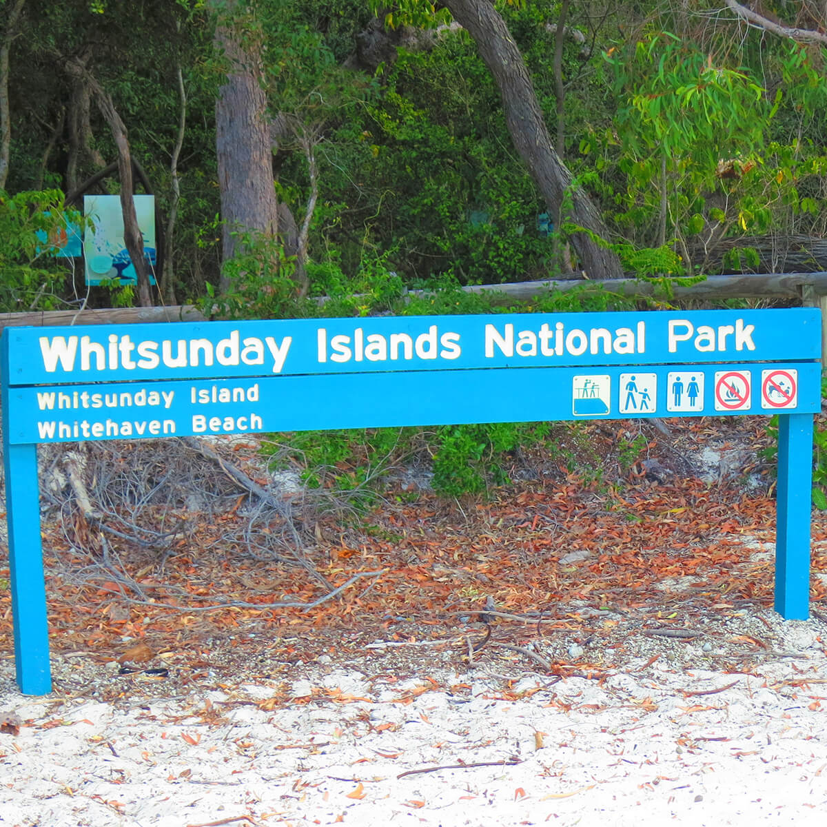 Bushwalking