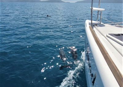 Ruby Sunday - Whitsundays Yacht Charter